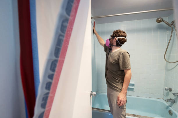Best Black Mold Removal  in Sutter Creek, CA