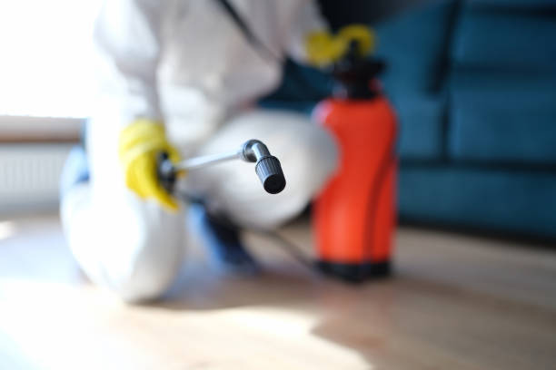 Best Mold Removal for HVAC Installations  in Sutter Creek, CA