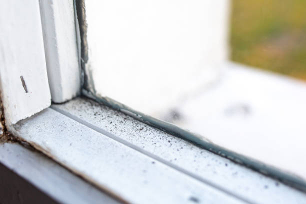 Best Dehumidification Services  in Sutter Creek, CA