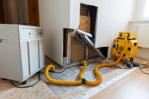 Best Biohazard Mold Removal  in Sutter Creek, CA